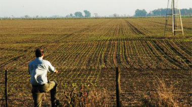 Cultivar la tierra en Argentina, un negocio de “terceros”: el 70% se hace en campos alquilados