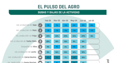 CONINAGRO: Al menos 14 rubros muestran una leve recuperación de la actividad