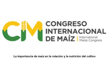 La importancia de maíz en la rotación y la nutrición del cultivo