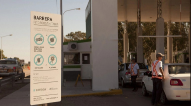 La Justicia suspendió el ingreso de carne con hueso al sur del Colorado
