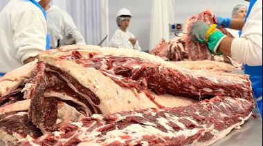 Dirigentes rurales acusan al SENASA de priorizar intereses económicos y políticos, mientras siguen frenadas las exportaciones a Chile