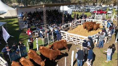 El 50° aniversario llego en un contexto inmejorable para los criadores de Angus colorado de Huanguelén