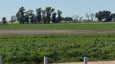 Tiene 20.000 hectáreas: una empresa italiana marcó un hito productivo en una región argentina