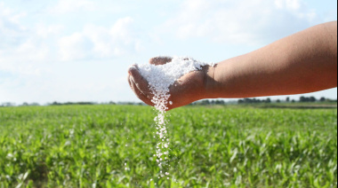 Los fertilizantes siguieron reflejando una corrección bajista impulsada por una demanda global