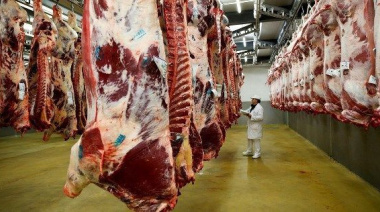 La faena vacuna sigue alta y no aparece la retención de hacienda