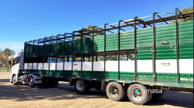 Senasa actualizó condiciones en transporte de hacienda e incorporó los vehículos bitren y multiespecie