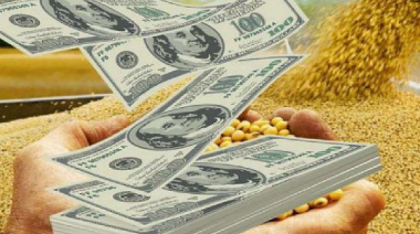 Baja de retenciones: exportadores anticipan que crecerá la liquidación pero la caída del dólar puede demorar ventas