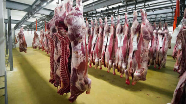 Retenciones cero para la carne sigue al 31 de octubre