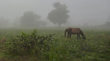 Este fin de semana regresan las precipitaciones con algunas tormentas intensas