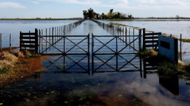 El Gobierno Nacional oficializó la emergencia agropecuaria para Buenos Aires por excesos hídricos