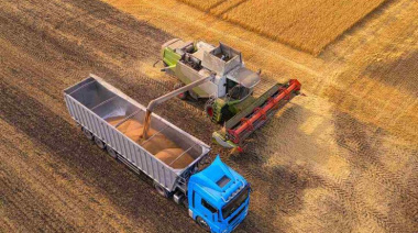 Alivio para el agro: flexibilizaron reglas para productores y exportadores