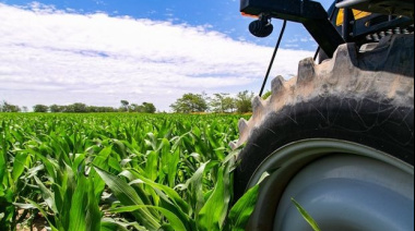 El maíz lidera el consumo de fertilizantes en Argentina