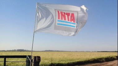 Inta: El Gobierno designó el nuevo Consejo Directivo para la gobernanza del organismo