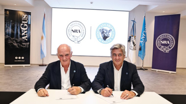 La Sociedad Rural y Angus avanzan en un acuerdo marco para integrar la gestión y registración de reproductores