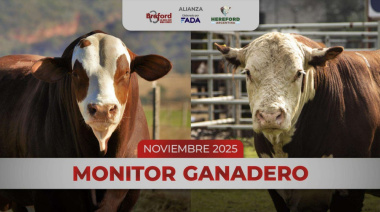 Monitor Ganadero - Noviembre 2025