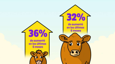¿Cómo se encuentra hoy la brecha entre el ternero y el novillo?