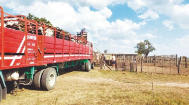 Adiós a las guías ganaderas en Córdoba?
