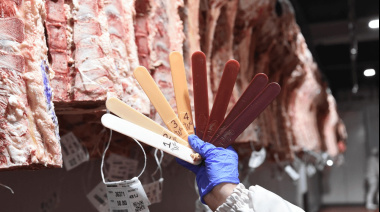 Una cámara de la industria cárnica asegura que la faena en Buenos Aires cayó 13%