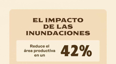 Impacto económico de las inundaciones en 9 de julio PBA: USD 30 millones menos de retenciones