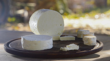 La exportación de lácteos creció 19% en dólares en los primeros 10 meses del año