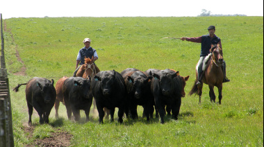 Trabajadores rurales: el salario cierra el año con aumento y en febrero el mínimo superará $ 1 millón