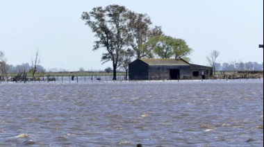 Emergencia agropecuaria por inundaciones: prorrogan la medida hasta febrero en Buenos Aires