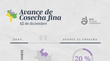 Avance de cosecha en zonas Norte, Centro y Sur 🌾 con data clave para saber cómo viene la campaña.