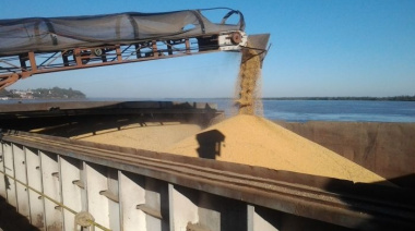 La rebaja de retenciones reduciría en 511 mill/dol la recaudación, pero mejora precios y da incentivos para producir