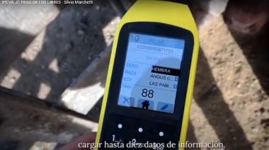 Mucho para ganar avanzando sobre la Trazabilidad Integral