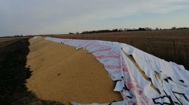 Una entidad del campo propone crear el delito de vandalismo para combatir los delitos rurales