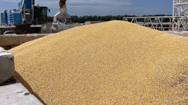 Entran maquinaria y aparatos, sale maíz