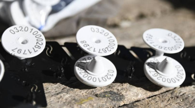 Trazabilidad electrónica: Entrará en aplicación el venidero jueves 1 de enero.