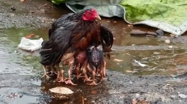 Se esperan tormentas y ráfagas de hasta 75 km/h