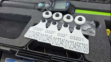 La ganadería argentina ingresa en un punto de inflexión a partir del 1 de enero