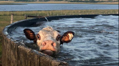 El SMN anticipa un pronóstico extremo para el inicio del Año Nuevo
