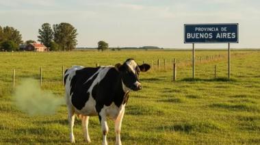 Duras críticas de la producción al proyecto de ley bonaerense que quiere imponer impuesto a las flatulencias de las vacas