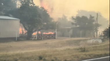 Incendio rural en Villarino: más de 20 mil hectáreas afectadas y no hubo víctimas