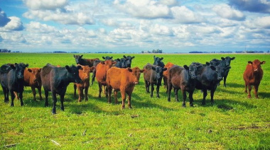 Perspectiva del año 2026 🐂 con Marcos Matteucci