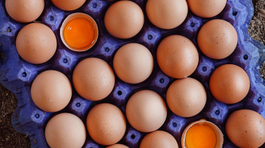 Huevos: el sector creció 18% en dos años. El país produce 610 unidades por segundo