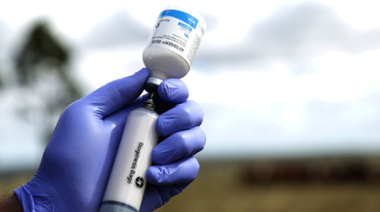 Argentina exportará vacunas contra la aftosa a Sudáfrica