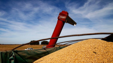 Qué pasó esta semana con el precio del maíz, del sacudón al reequilibrio, la nueva foto del mercado global