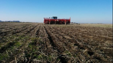 La siembra de maíz avanza al 92% pero hay alertas por falta de agua