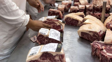 Suba de precios internacionales,  costos locales altos, competencia desleal: un año desafiante para la industria cárnica