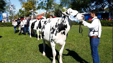 Notable interés internacional por TodoLáctea 2026