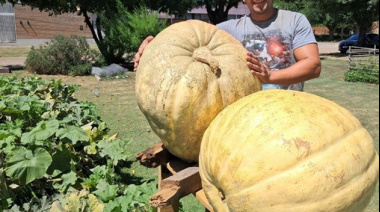 «El gigante de Mechita»: Un productor hortícola cosecho un zapallo de 73kilos