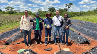 INTA informa: Investigadores argentinos aportan tecnología al cultivo de tomate en Mozambique
