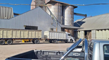 Una Cooperativa invierte US$15 millones para duplicar su capacidad de acopio