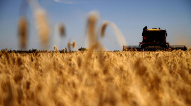 Enero 2026: Nuevo récord de la década en exportaciones agroindustriales