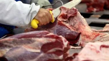 Cambio de era en la cadena de ganados y carnes?