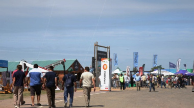 Expoagro: en pleno boom ganadero, las razas multiplican su presencia